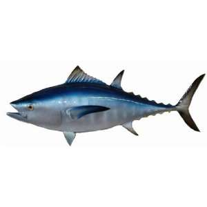  35 Bluefin Tuna Half Mount Fish Replica   Taxidermy 