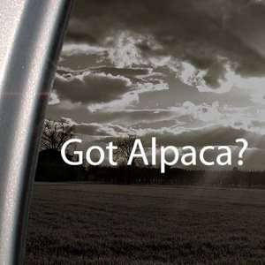    Got Alpaca? Decal Farm Animal Llama Window Sticker: Automotive