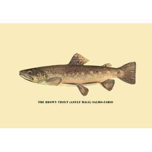   By Buyenlarge The Brown Trout 12x18 Giclee on canvas: Home & Kitchen