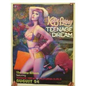  Katy Perry 2 Sided Poster Teenage Dream: Everything Else