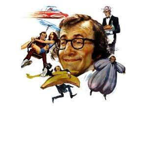   Movie Italian 27x40 Woody Allen Diane Keaton John Beck