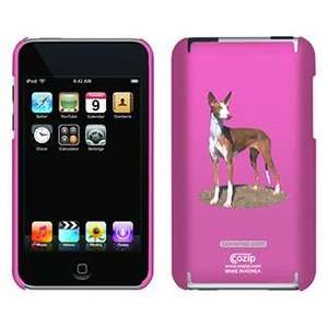  Ibizan Hound on iPod Touch 2G 3G CoZip Case Electronics