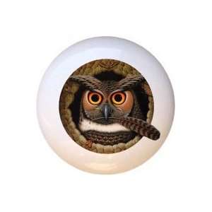  Birds Wise Owl Drawer Pull Knob