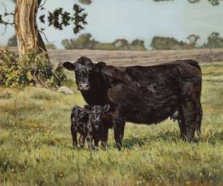   Mohr BLACK BEAUTIES Print Black Angus Cow and Newborn Baby Calf  