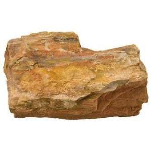 Top Quality Petrified Wood   Assorted Size   25lb: Pet 