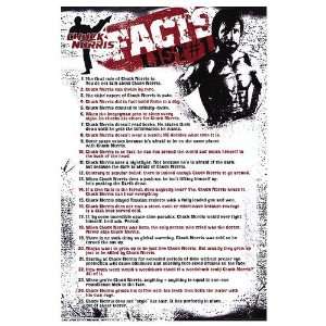  Chuck Norris Facts Movie Poster, 22.25 x 34