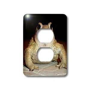 Taiche Photography   Amphibians Toad Bufo Bufo   Light Switch Covers 