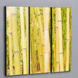  Three Piece Hawaiian Bamboo Forest Laminated Framed Wall 