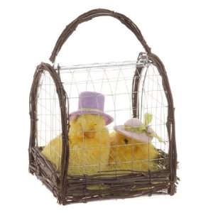 RAZ Imports 6 Chicks in a Cage: Home & Kitchen