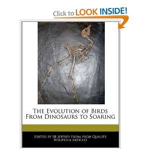 The Evolution of Birds From Dinosaurs to Soaring 