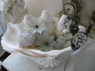 THE BEST Large Old Real CLAM SHELL Perfect Decor~Nice Shapely Scallops 