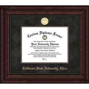California State University Chico Wildcats   Gold Medallion   Suede 