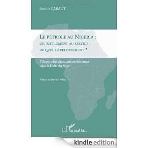 Nigeria  un instrument au service de quel développement ?  Pillage 