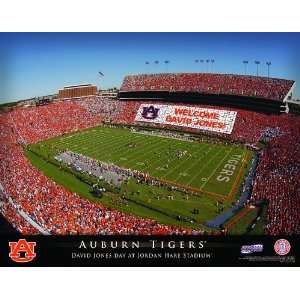  Personalized NCAA College Football Stadium Print: Sports 