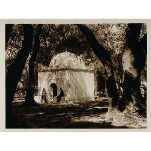  1924 Sacred Grove Blida Algeria Lehnert Photogravure 