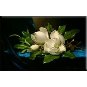 Giant Magnolias on a Blue Velvet Cloth 16x10 Streched Canvas Art by 