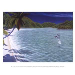    Trunk Bay   Poster by Dan Mackin (11.75x9.5)