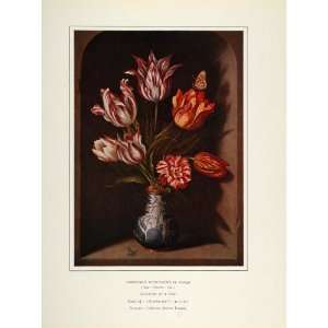   Tulips Butterfly Ambrosius Bosschaert   Original Print