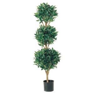  4 Triple Ball Sweet Bay Topiary: Home & Kitchen