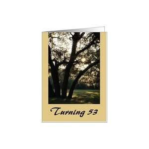  Turning 53, birthday, tree in sunrise Card: Toys & Games