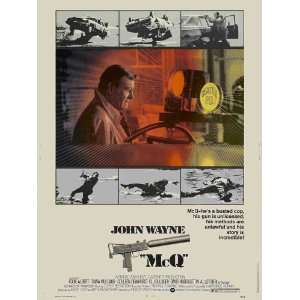   Movie C 27x40 John Wayne Eddie Albert Diana Muldaur