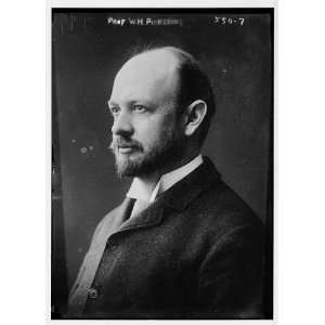  Prof. W.H. Pickering,portr. bust: Home & Kitchen
