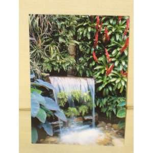 2001  Longwood Gardens  Post Card   Cascade Garden Waterfall In The 