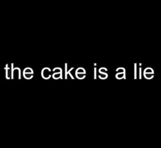 THE CAKE IS A LIE portal T Shirt orange box valve nerd geek gaming 