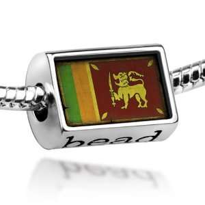  Beads Sri Lankan Flag   Pandora Charm & Bracelet 