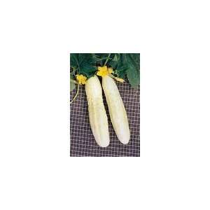   Bianco Lungo Great Heirloom Vegetable 200 Seeds Patio, Lawn & Garden