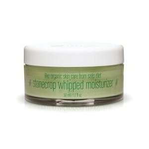  Ilike Stonecrop Whipped Moisturizer   1.7 Fl Oz: Beauty