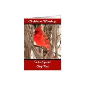 Step Dad Male Cardinal Christmas Card Card