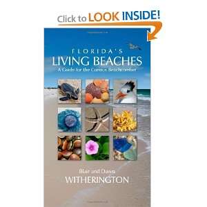 Floridas Living Beaches A Guide for the Curious Beachcomber 