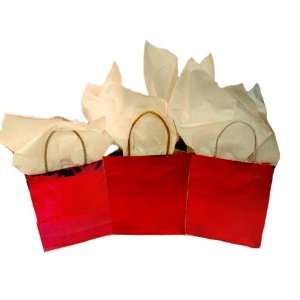  Red Foil Cube Gift Bags Pkg/3