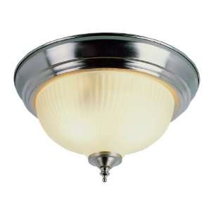   Classic Two Light Down Lighting Flush Mount Ceiling Fixture: Home