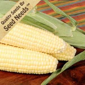  300 Seeds, Sweet Corn Mystique (Zea mays) Seeds By Seed 