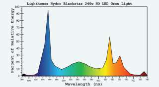 New 240w Lighthouse BlackStar LED Grow Light 3W Veg/Clone LEDs  