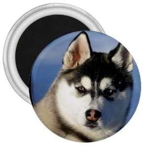  Siberian Husky Puppy Dog 2 3in Magnet S0629: Everything 