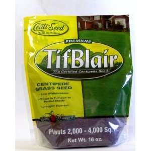 Tifblair Centipede Grass Seed (1 Lb.) Direct From the Farm 