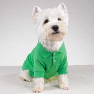 Preppy Puppy Dog Polo Shirt in Hampton Green at THE REGAL 