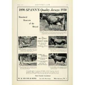 1930 Ad W. R. Spann Jersey Cows Heifers Bulls Cattle Agricultural Farm 