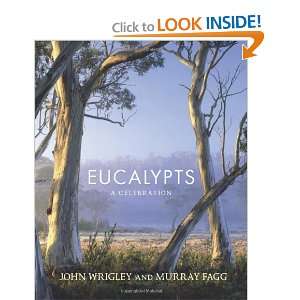  Eucalypts A Celebration [Hardcover] John Wrigley Books
