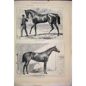  1878 Epsom Races Sefton Derby Jannette Oaks Horse Print 
