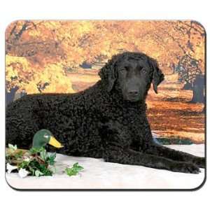  Curly Coated Retriever Mousepad: Office Products