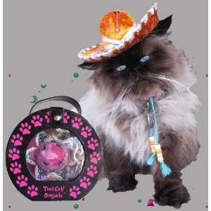  Sauza Gold Miniature Sombrero for Cats and Dogs Pet 