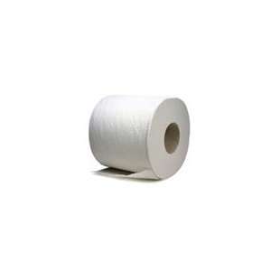  Economy Toilet Tissue 2 Ply 4.5 W x 3 L 96 Rolls 500 Shts 