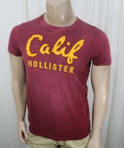 BNWT New Mens Shirts Hollister HCO Dudes Muscle Fit T Shirt NWT Raised 