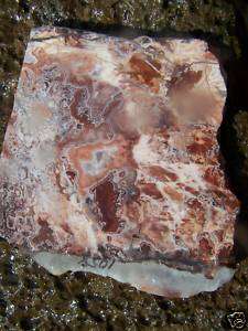 Nice Rosetta Stone Agate Slab Great For Cabs Lapidary  