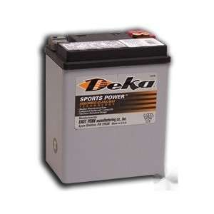  Deka ETX15 Powersports AGM Battery   100% NEW: Automotive