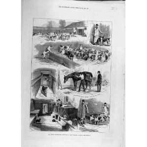  1880 Royal Buck Hounds Sketches Kennels Ascot Print